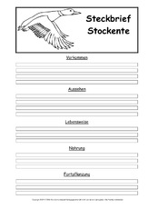 Steckbriefvorlage-Stockente-2.pdf